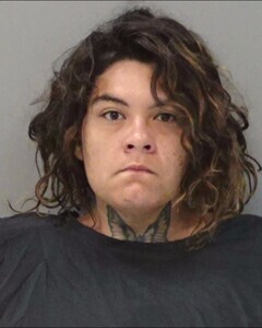 Police: Texas woman shot, stabbed, and dismembered partner before dumping remains