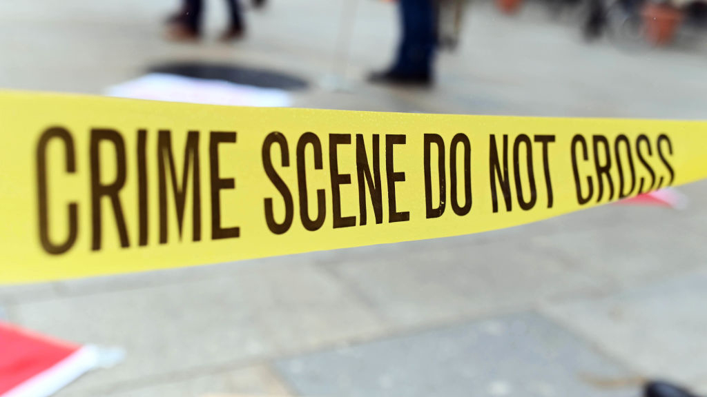 Mom charged with murder of twins after claiming they died from vaccinations